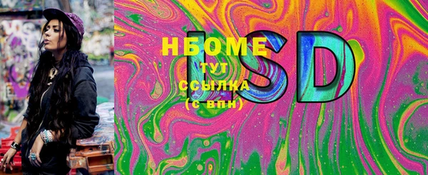 шишки Богородицк