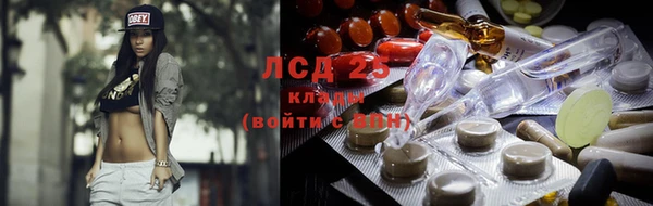 шишки Богородицк