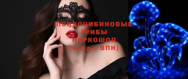шишки Богородицк